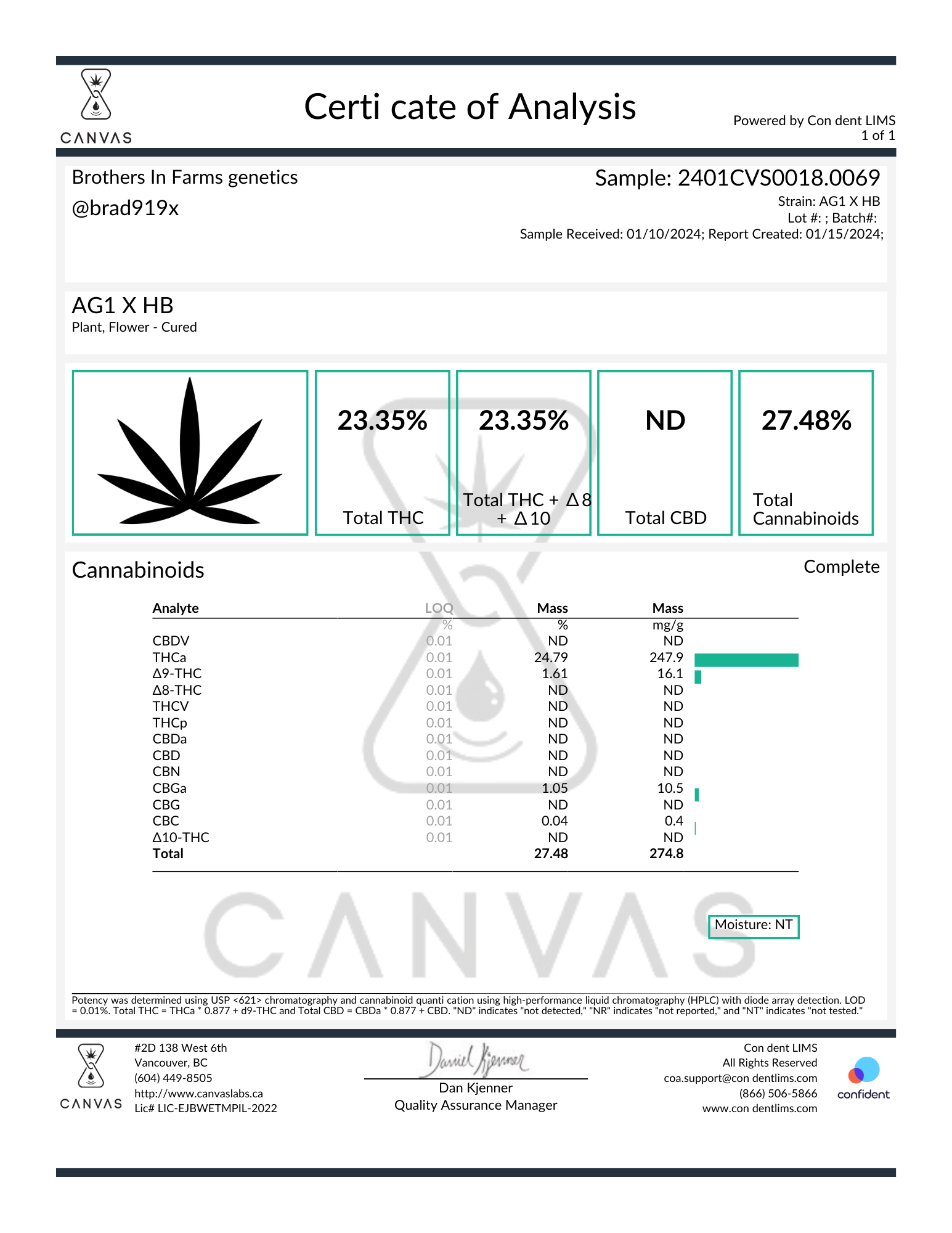 Gorilla Fusion F1 (Photo Fem) - Image 2